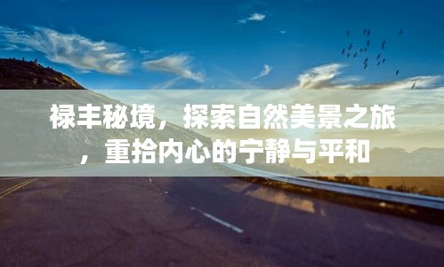 禄丰秘境探索之旅，自然美景唤醒内心的宁静与平和