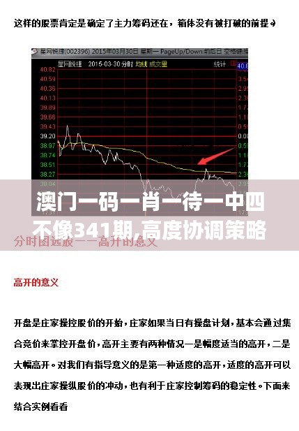 澳门一码一肖一待一中四不像341期,高度协调策略执行_LT2.347