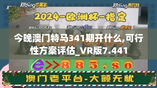 今晚澳门特马341期开什么,可行性方案评估_VR版7.441