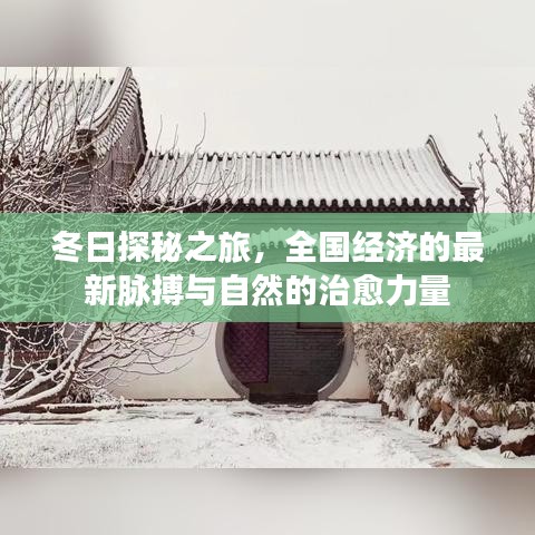 冬日探秘之旅，全国经济脉搏与自然治愈力量的交融体验