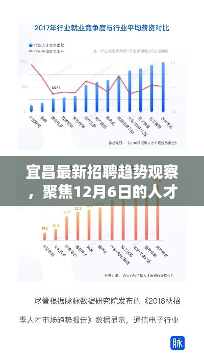 宜昌招聘市场最新动态观察，聚焦人才动向与观点分析（12月6日）