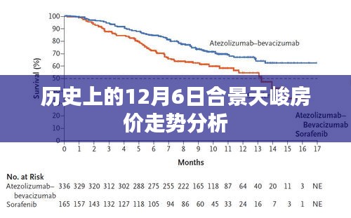 合景天峻房价走势分析，历史视角的12月6日回顾与展望