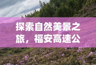 福安高速公路规划，探寻自然美景之旅，带你远离喧嚣寻内心宁静与平和