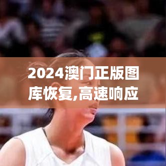 2024澳门正版图库恢复,高速响应方案解析_NE版7.111