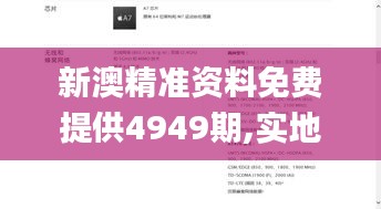 新澳精准资料免费提供4949期,实地分析解析说明_iPad5.859