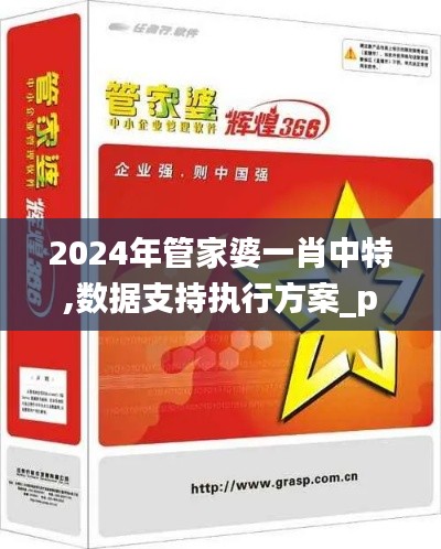 2024年管家婆一肖中特,数据支持执行方案_pack19.159