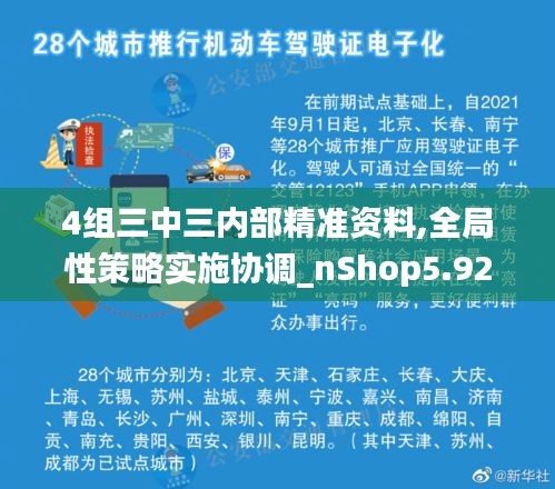 4组三中三内部精准资料,全局性策略实施协调_nShop5.927