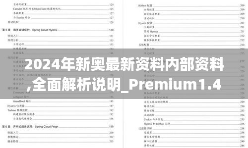 2024年新奥最新资料内部资料,全面解析说明_Premium1.494