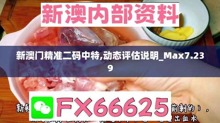 新澳门精准二码中特,动态评估说明_Max7.239