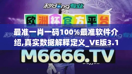 最准一肖一码100%最准软件介绍,真实数据解释定义_VE版3.162