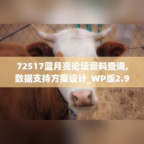 72517蓝月亮论坛资料查询,数据支持方案设计_WP版2.916