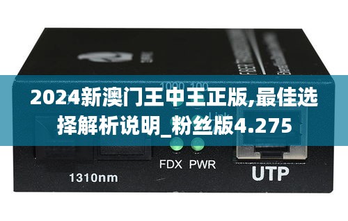 2024新澳门王中王正版,最佳选择解析说明_粉丝版4.275