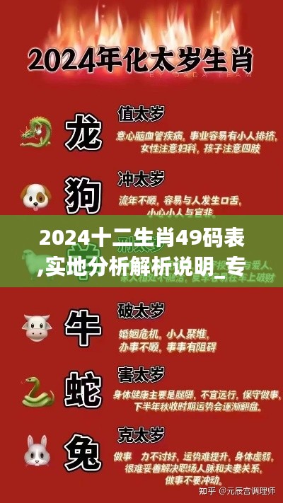 2024十二生肖49码表,实地分析解析说明_专属版9.631