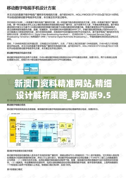 新澳门资料精准网站,精细设计解析策略_移动版9.577