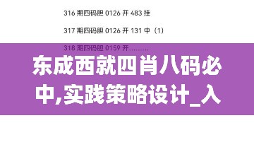 东成西就四肖八码必中,实践策略设计_入门版1.236