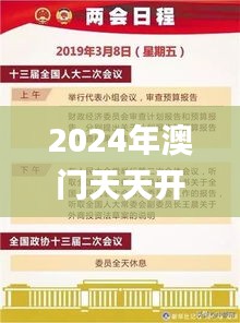 2024年澳门天天开好彩精准免费大全,高效策略设计解析_Lite6.583