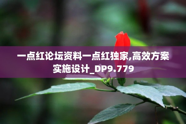 一点红论坛资料一点红独家,高效方案实施设计_DP9.779