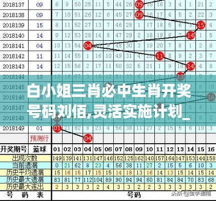 白小姐三肖必中生肖开奖号码刘佰,灵活实施计划_PalmOS3.161