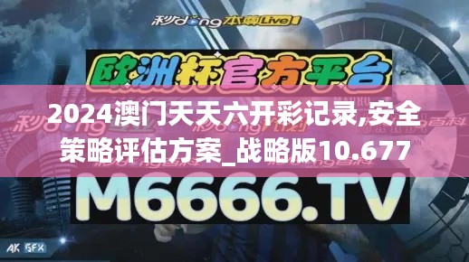 2024澳门天天六开彩记录,安全策略评估方案_战略版10.677