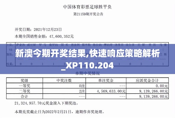 新澳今期开奖结果,快速响应策略解析_XP110.204