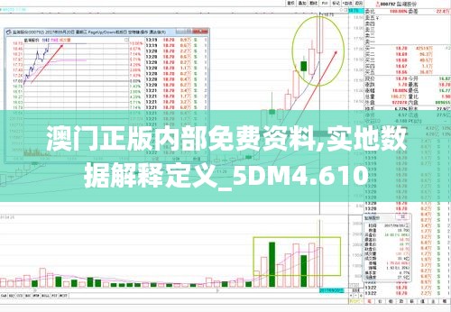 澳门正版内部免费资料,实地数据解释定义_5DM4.610