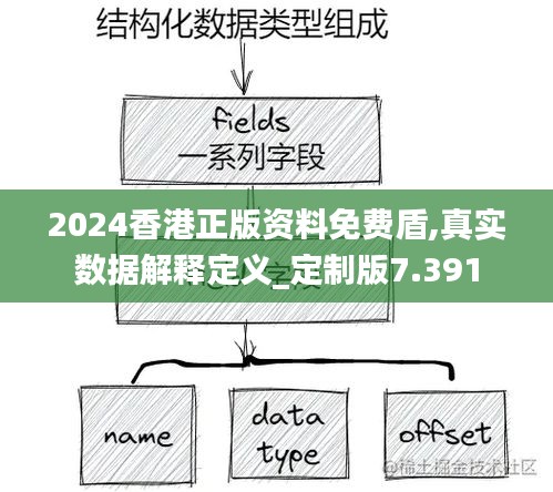 2024香港正版资料免费盾,真实数据解释定义_定制版7.391