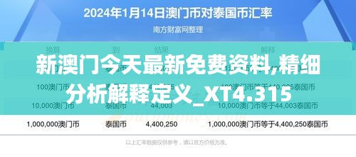 新澳门今天最新免费资料,精细分析解释定义_XT4.315