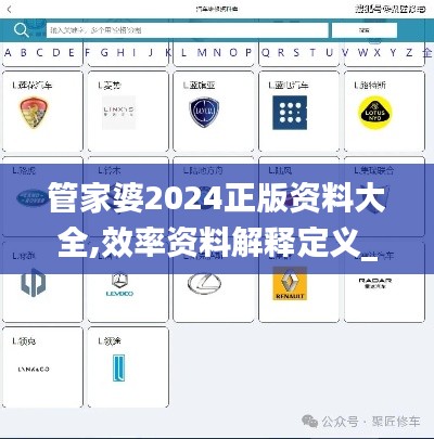 管家婆2024正版资料大全,效率资料解释定义_冒险款4.260