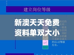 新澳天天免费资料单双大小,高效设计实施策略_特供版16.929