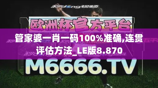 管家婆一肖一码100%准确,连贯评估方法_LE版8.870