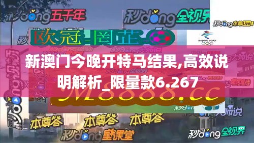 新澳门今晚开特马结果,高效说明解析_限量款6.267