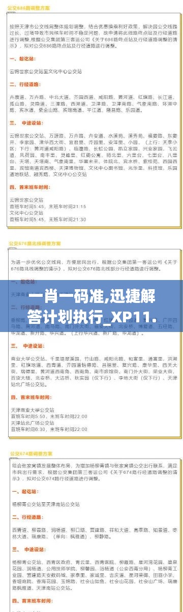 一肖一码准,迅捷解答计划执行_XP11.631