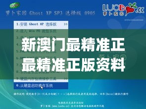 新澳门最精准正最精准正版资料,理论研究解析说明_XP13.492