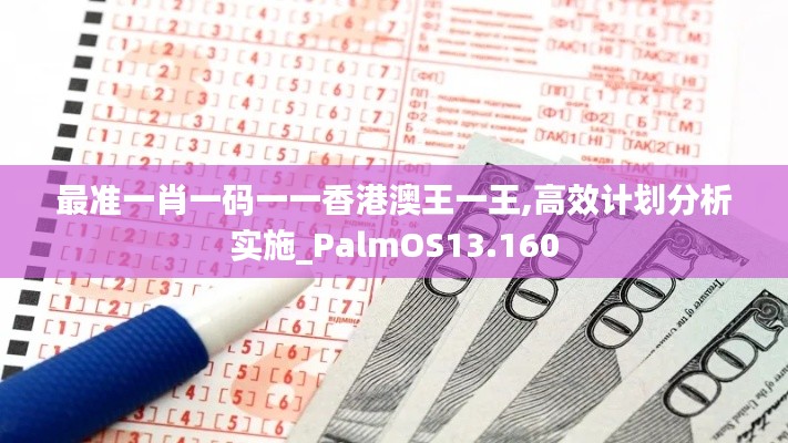 最准一肖一码一一香港澳王一王,高效计划分析实施_PalmOS13.160