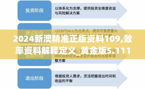 2024新澳精准正版资料109,效率资料解释定义_黄金版5.111