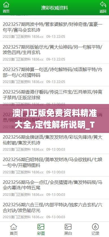 澳门正版免费资料精准大全,定性解析说明_Tizen11.803