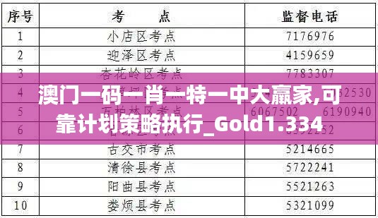 澳门一码一肖一特一中大羸家,可靠计划策略执行_Gold1.334