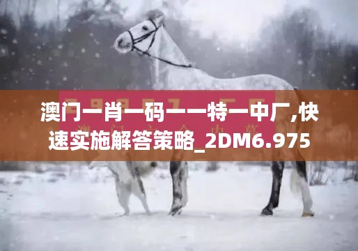 澳门一肖一码一一特一中厂,快速实施解答策略_2DM6.975