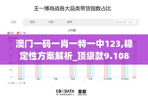 澳门一码一肖一特一中123,稳定性方案解析_顶级款9.108