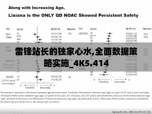 雷锋站长的独家心水,全面数据策略实施_4K5.414