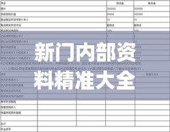 新门内部资料精准大全,收益说明解析_顶级款8.480