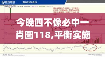 今晚四不像必中一肖图118,平衡实施策略_FT10.464