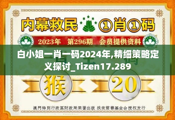 白小姐一肖一码2024年,精细策略定义探讨_Tizen17.289