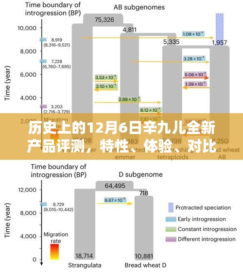 历史上的12月6日，辛九儿全新产品深度评测与全方位分析