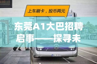 东莞A1大巴招聘启事，探寻公交之星，开启未来之旅（2024年最新版）