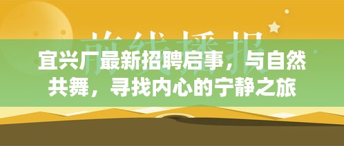 宜兴厂招聘启事，与自然共舞，探寻内心宁静之旅