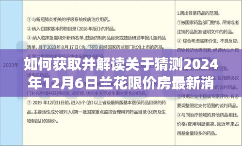 解读兰花限价房最新消息，预测与解读步骤指南（针对2024年12月6日）