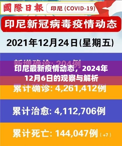 印尼最新疫情动态观察与解析（2024年12月6日）