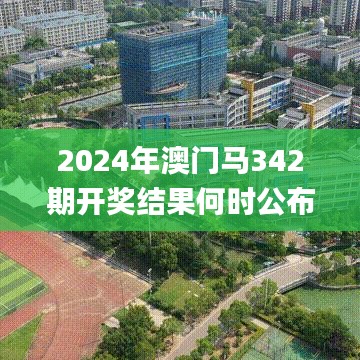 2024年澳门马342期开奖结果何时公布？,经验解答解释落实_网页版14.807