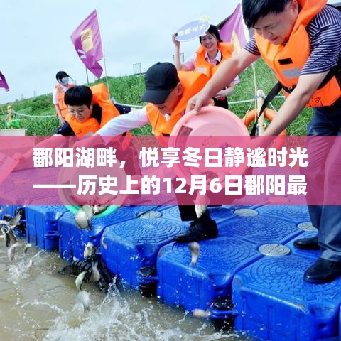 鄱阳湖畔探索之旅，悦享冬日静谧时光，揭秘历史楼盘新篇章